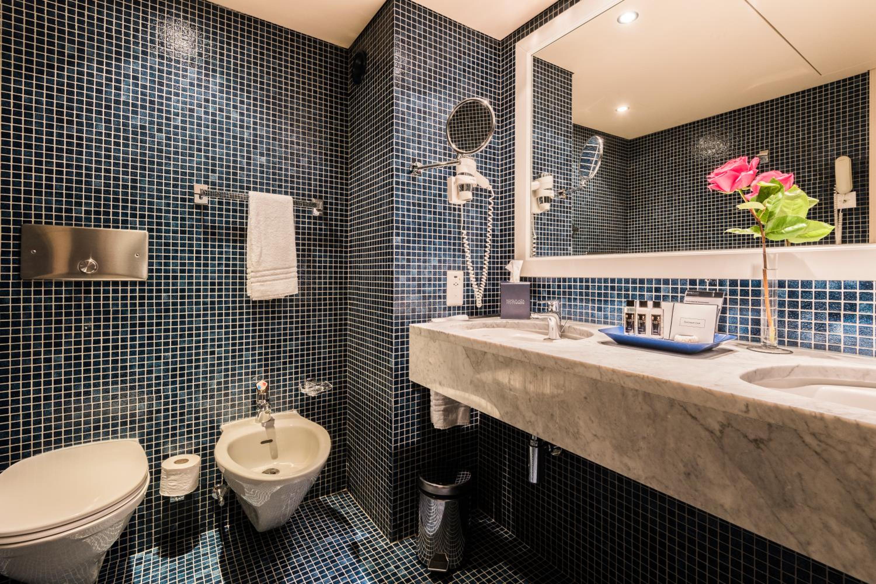 Park, Deluxe, Double Bed, Lake or Park View, Balcony، Royal Plaza Montreux Hotel 7/8