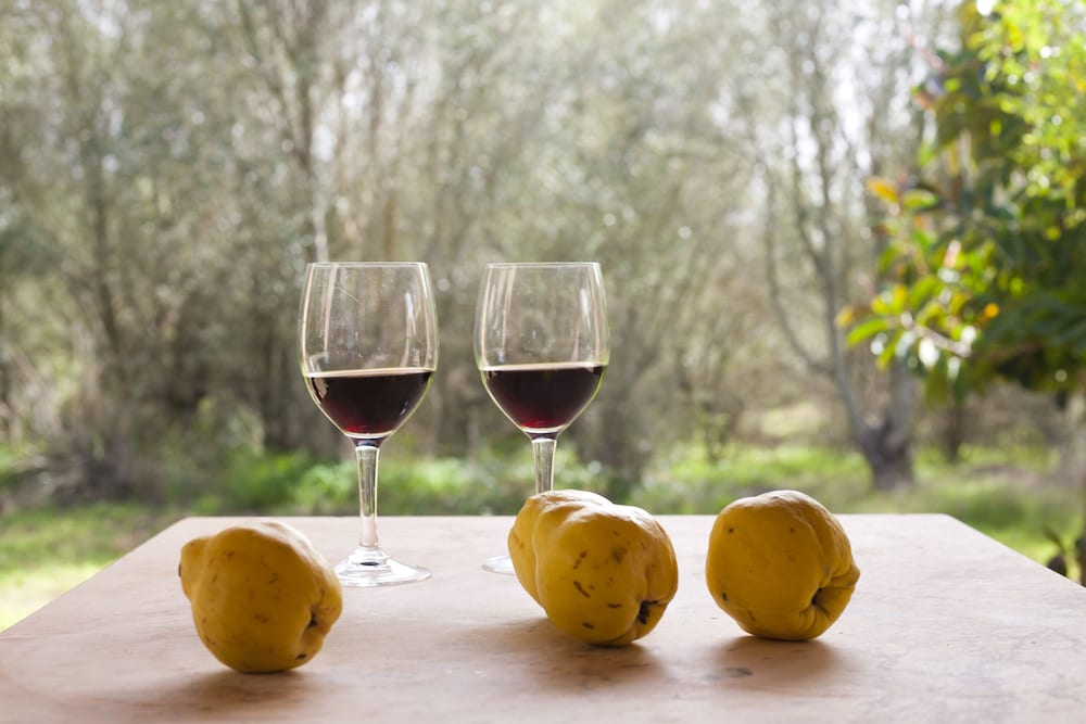 Agroturismo Finca Son Sureda 20/50