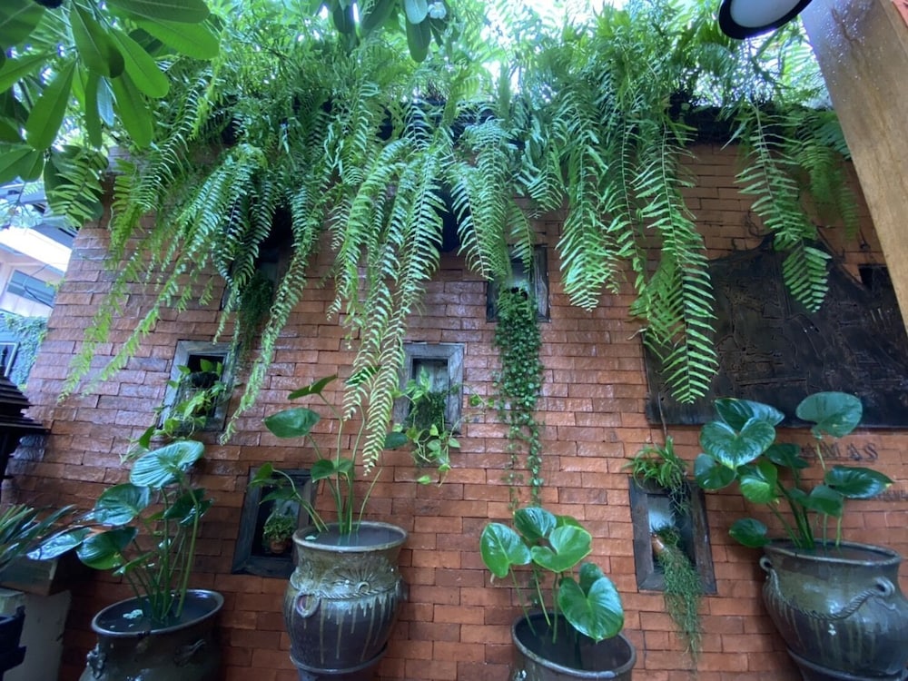 Wannamas Chiangmai Boutique House 3/67