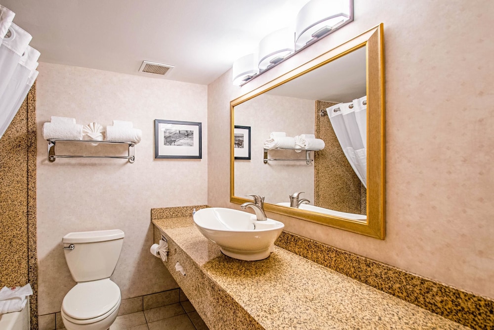 Comfort Inn Falls Church - Tysons Corner 22/35