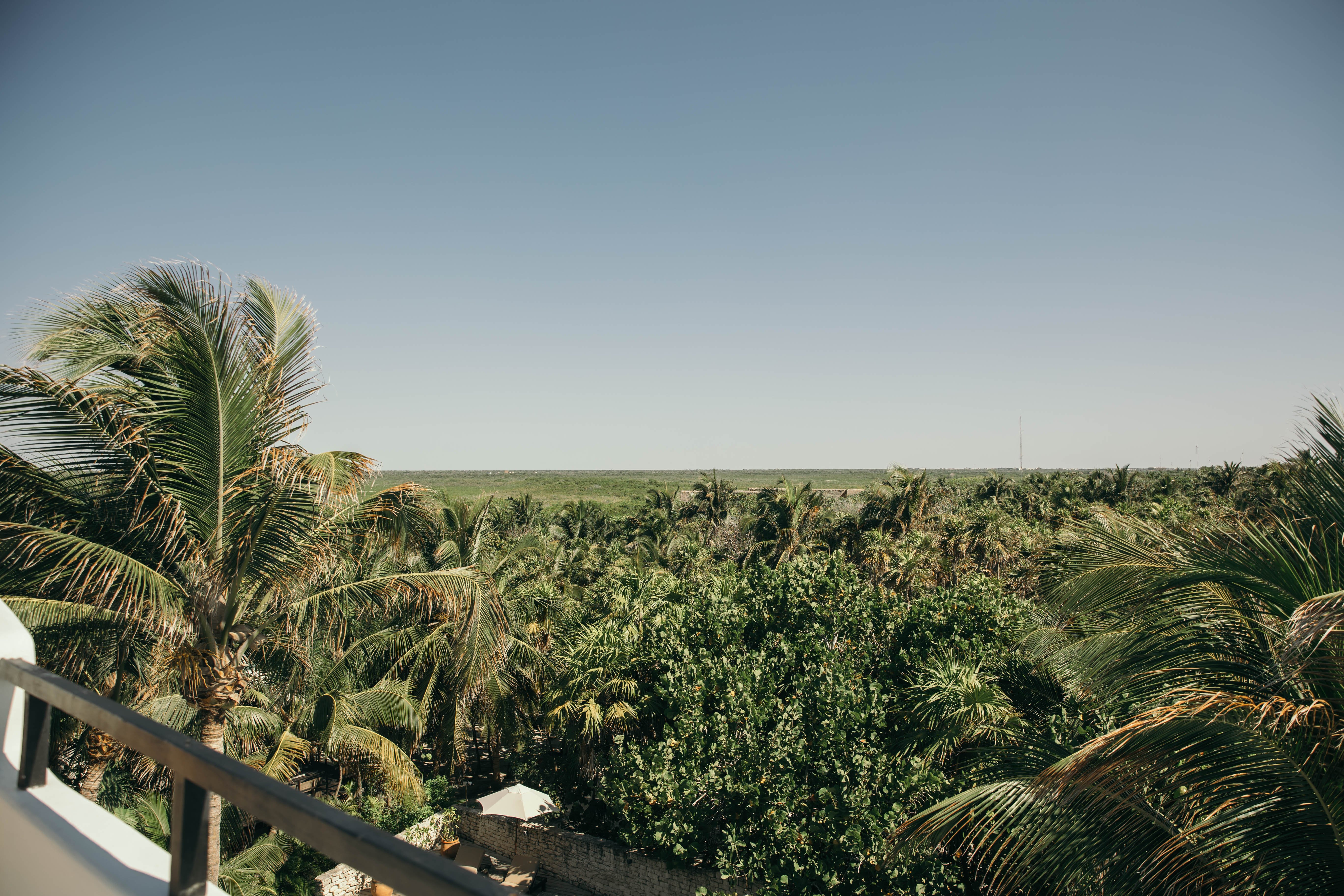 Chiringuito Tulum 66/79