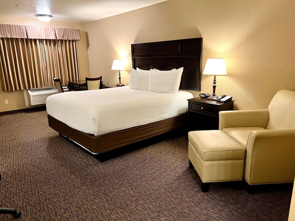 Standard, King Bed, Large