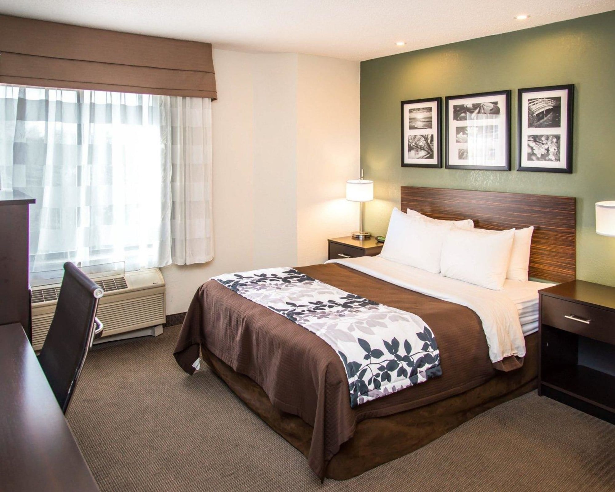 ROOM, QUEEN BED