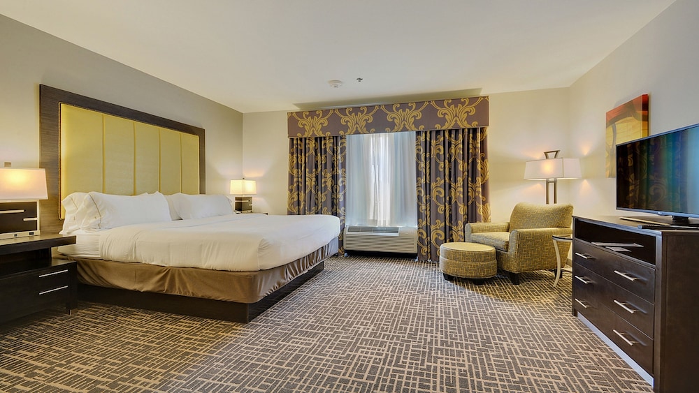 Holiday Inn Express Hotel And Suites Gonzales 25/71