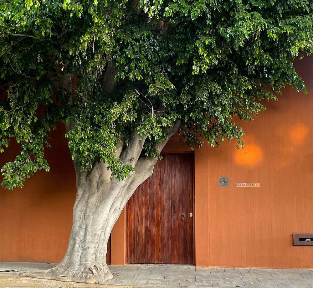 Casa Carmen By Amador Montes 34/41