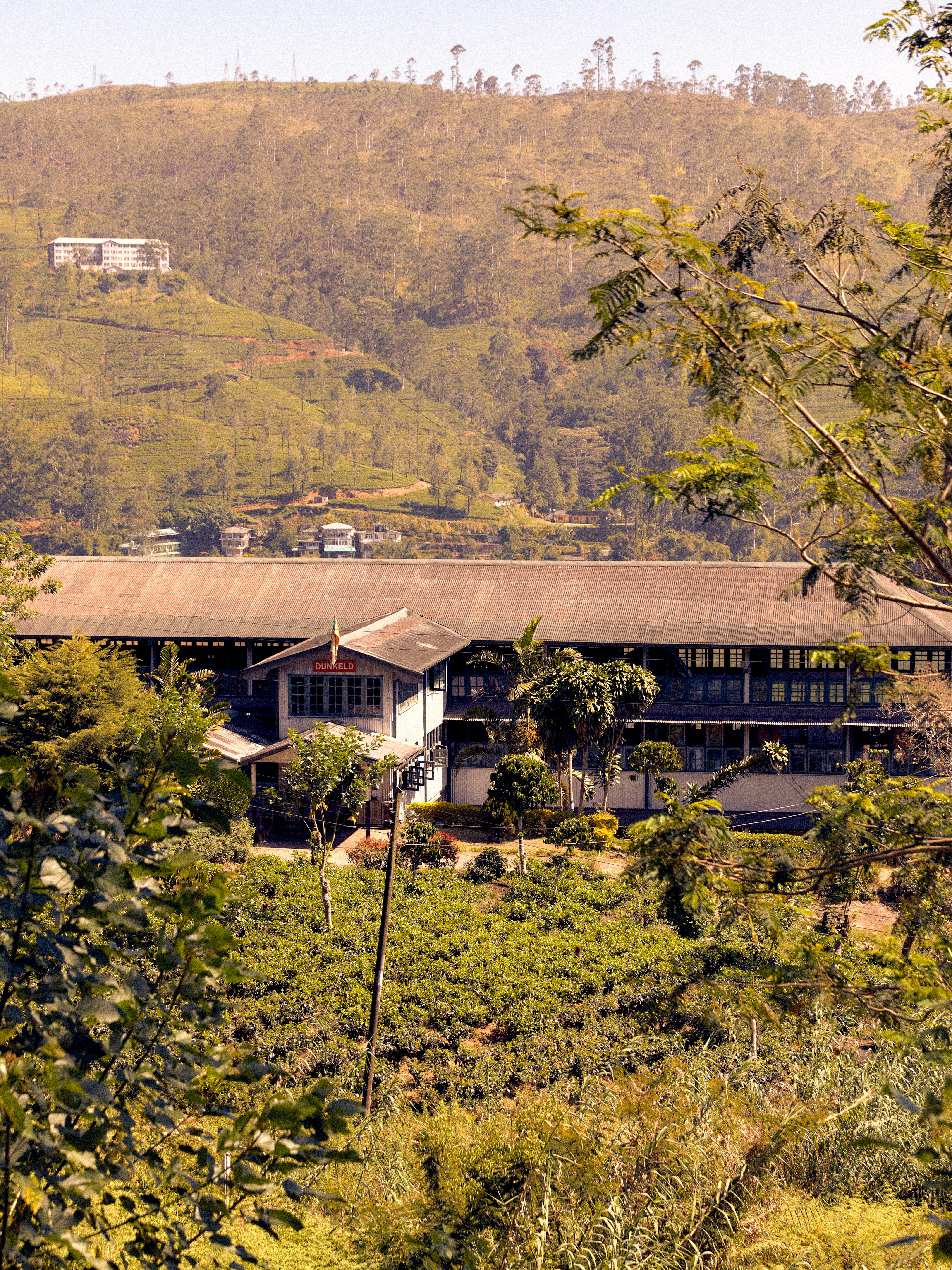 Tea Trails 30/43