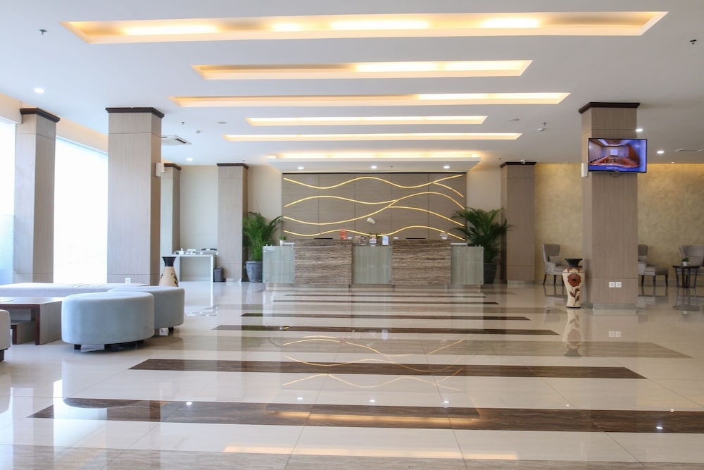 Terraz Tree Hotel 6/50