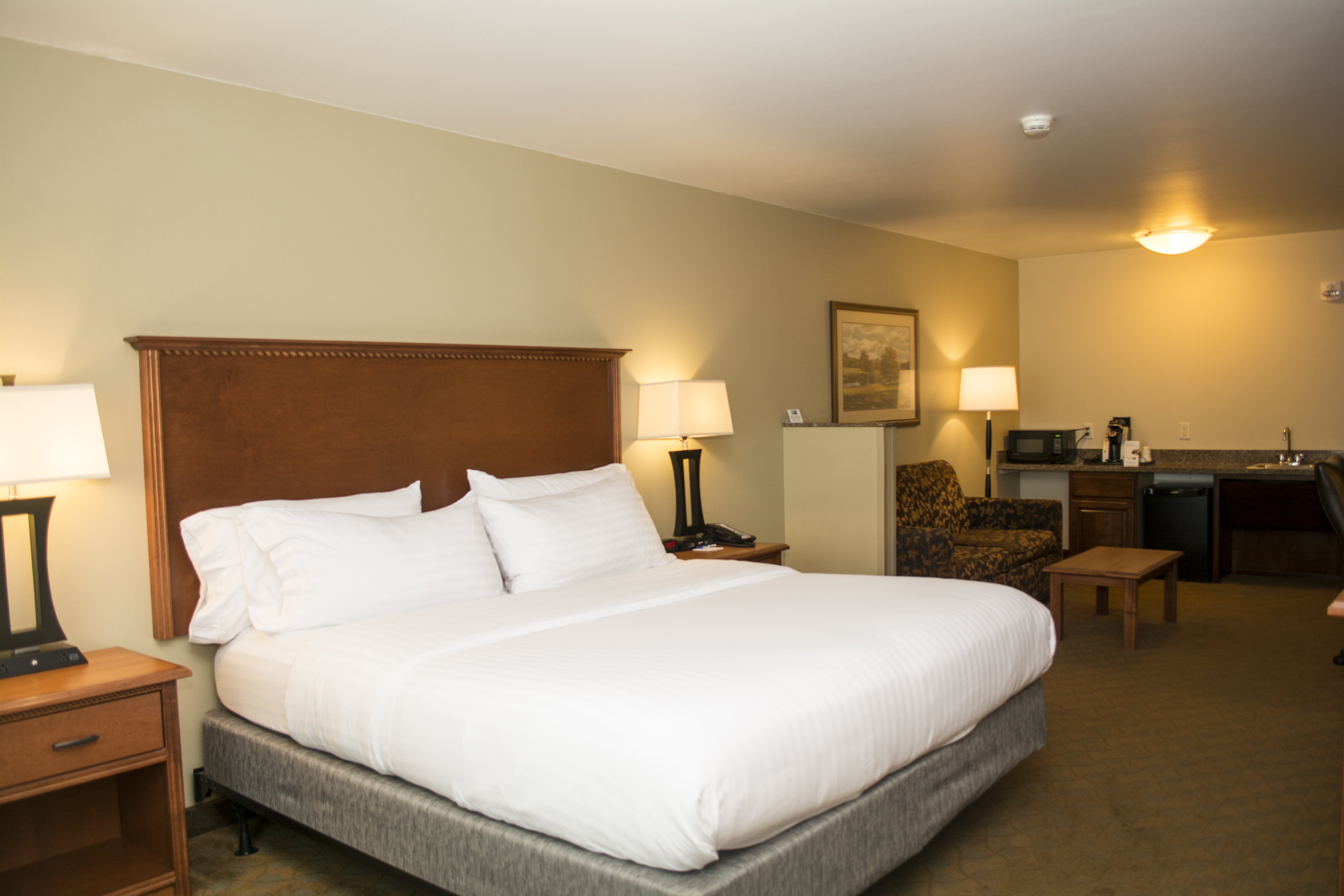 Holiday Inn Express Hotel And Suites Mason City 28/76