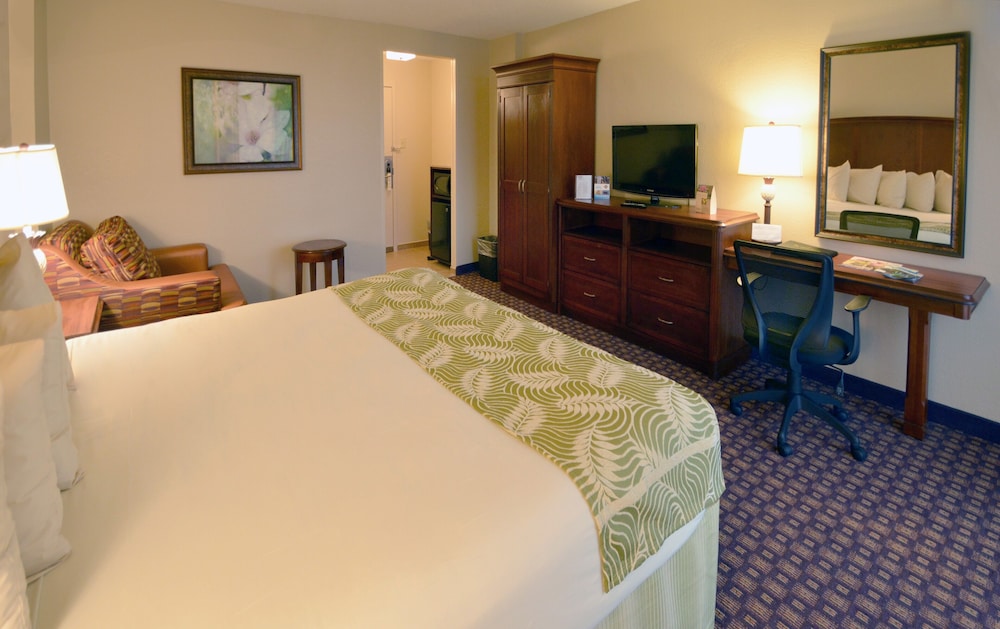 Rosen Inn Closest to Universal 15/62