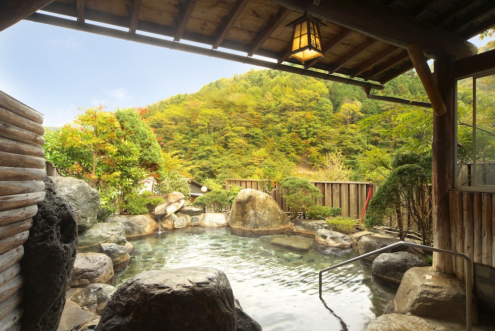 Hodakaso Yamano Hotel 19/59