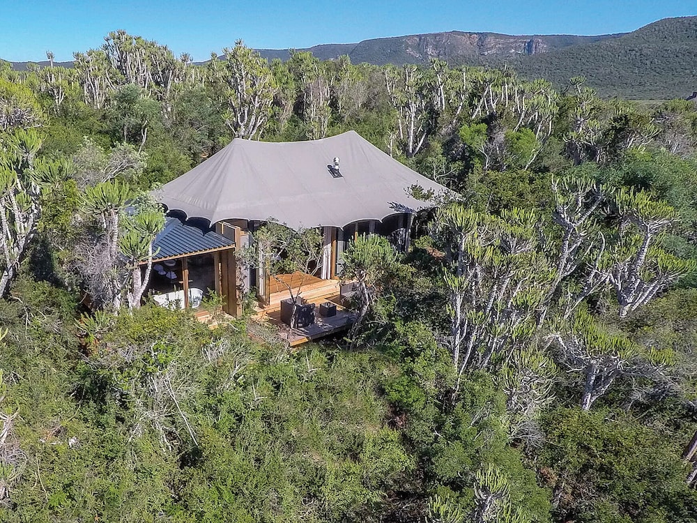 Kariega Game Reserve-Settlers Drift 38/45