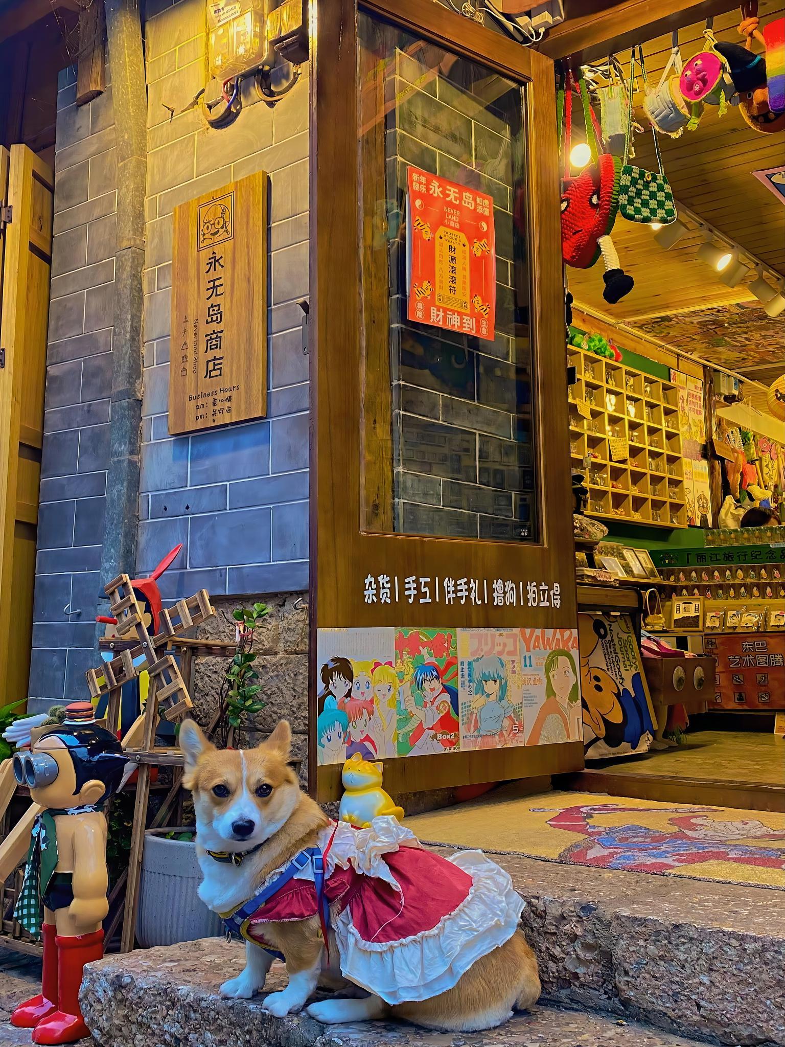 Blossom Hill Inn-Neverland HOTEL 32/50