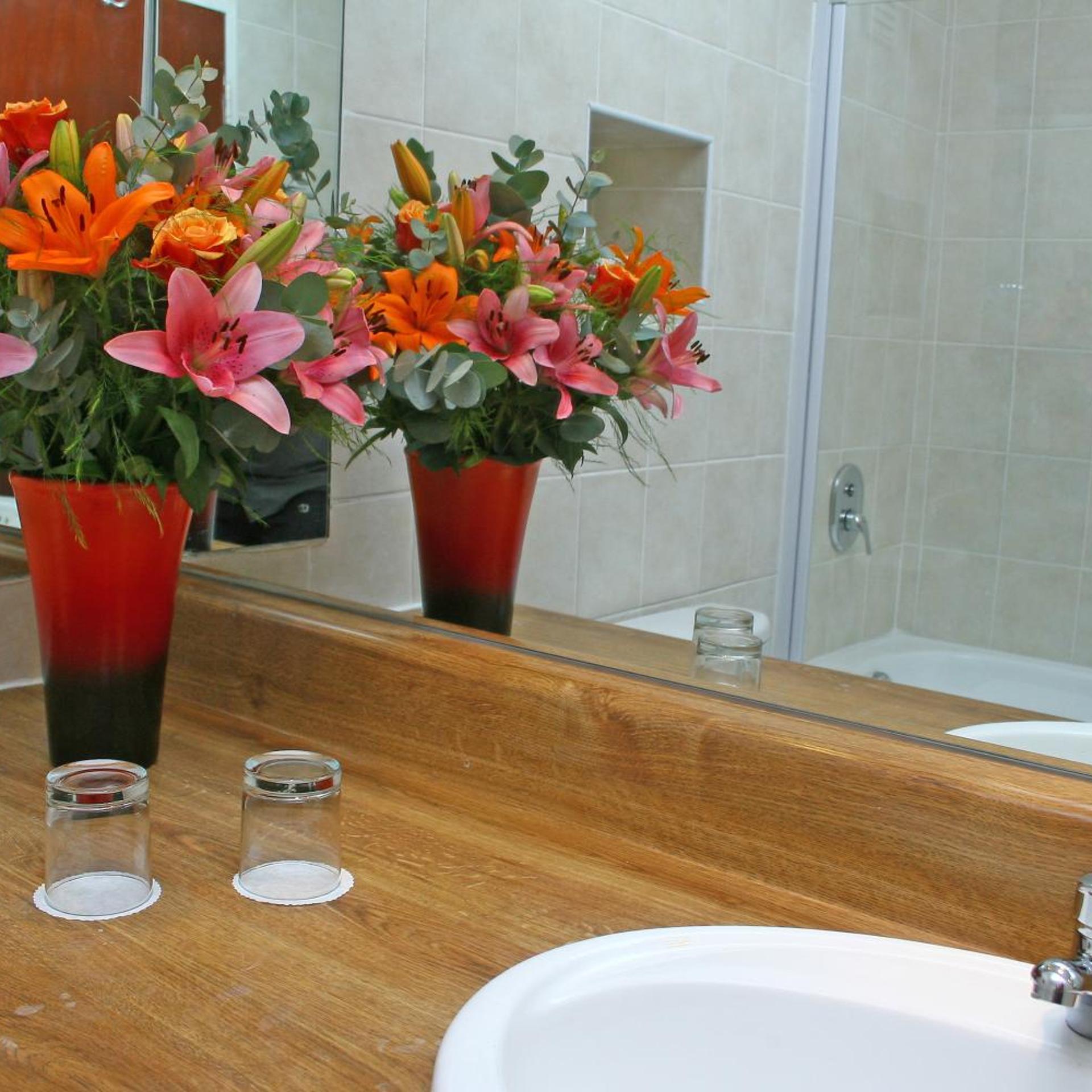 Oudtshoorn Inn Hotel And Conferencing Centre 30/37