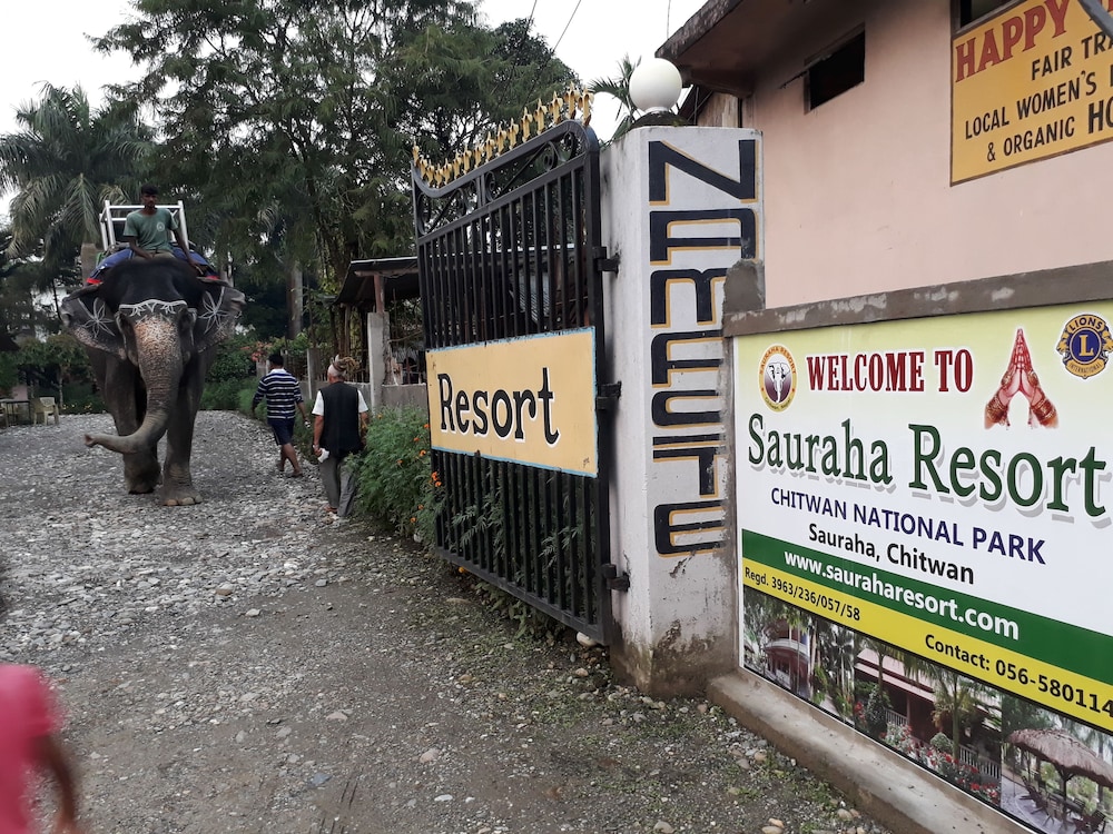 Sauraha Resort 39/50