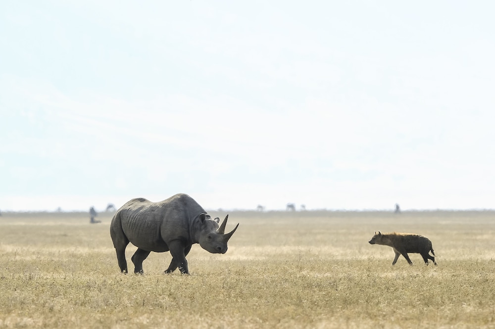 Ngorongoro Serena Safari Lodge 35/58