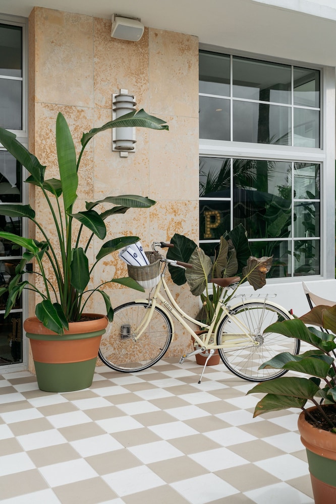 Hotel Trouvail Miami Beach 写真4