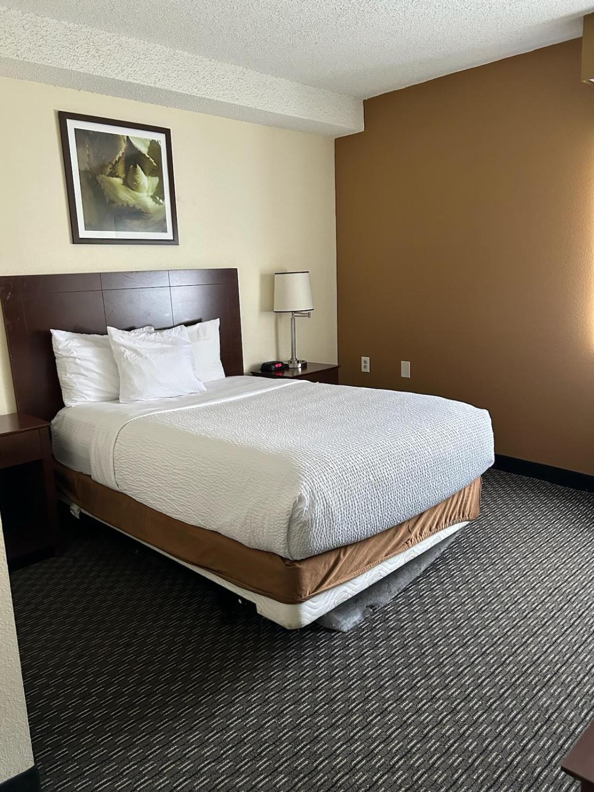 Room, Double Bed, Bathtub, Accessible