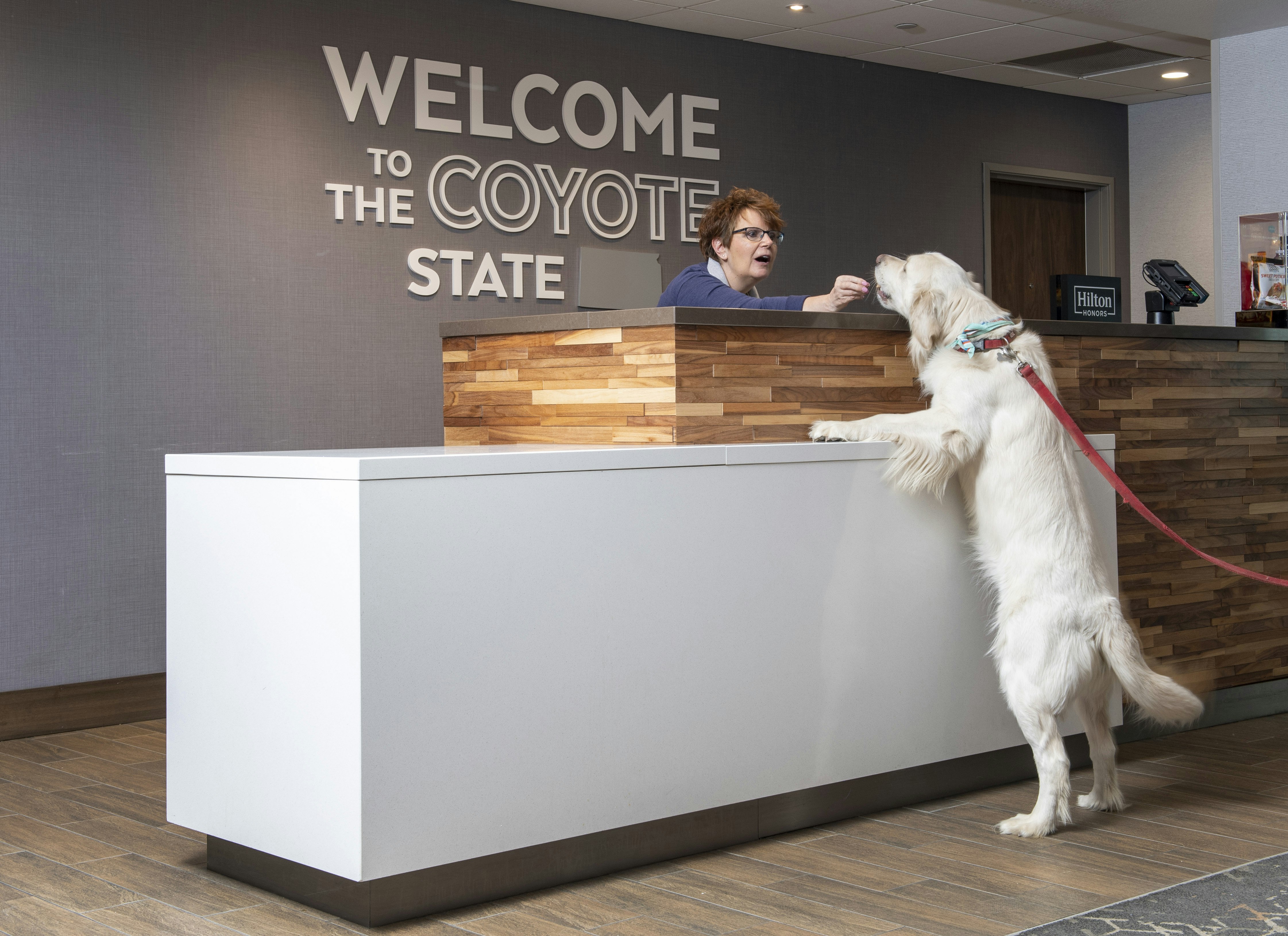 Hampton Inn Suites Rapid City Rushmore Sd 8/48