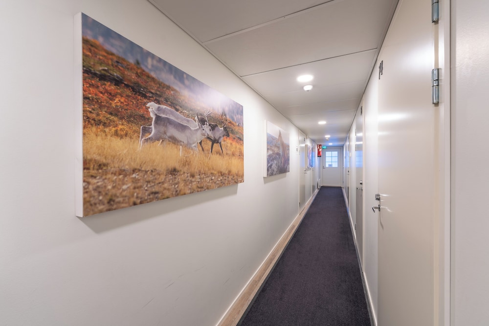 Saariselka Kuukkeli Inn 20/50