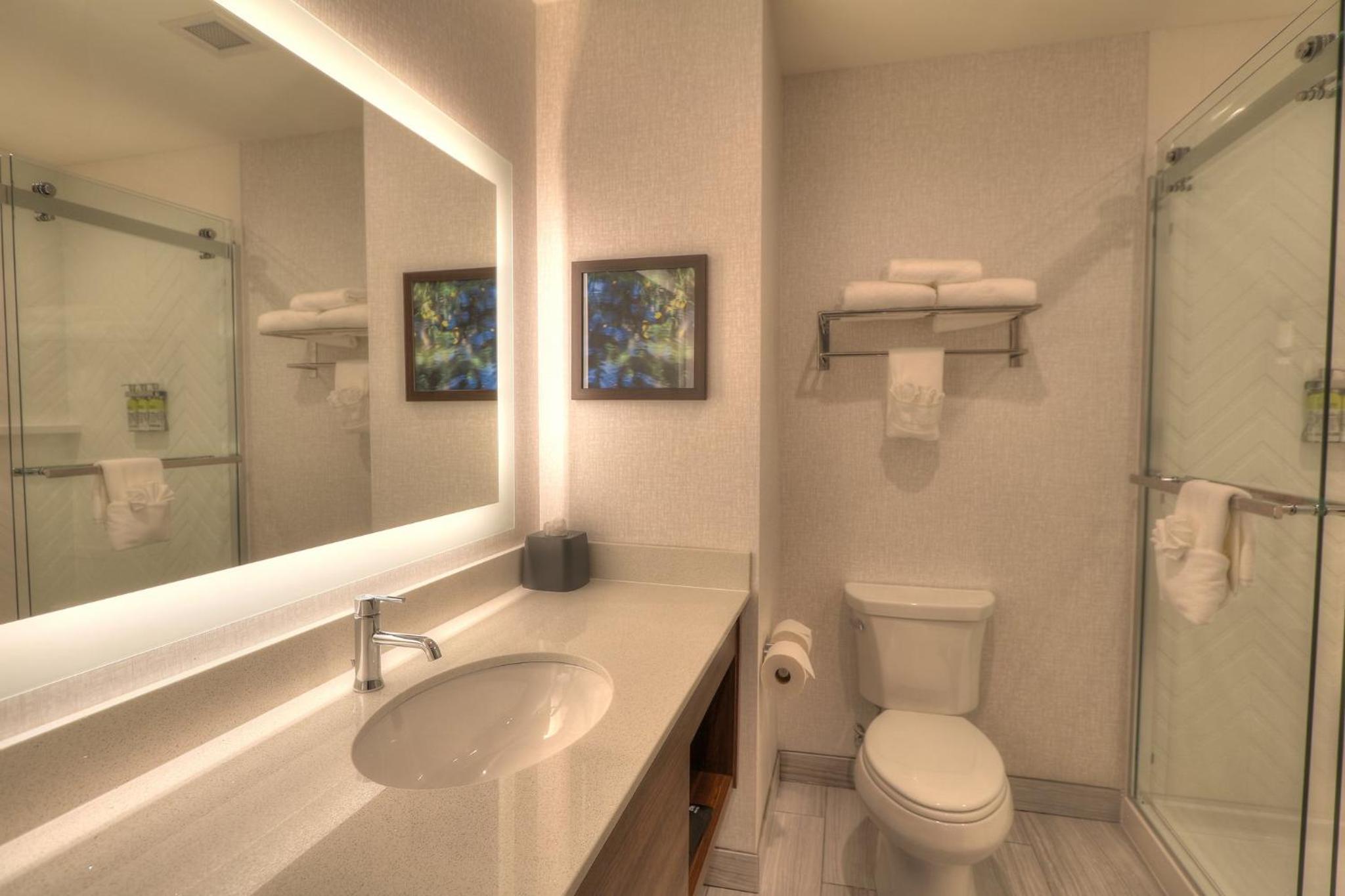 1 Bedroom, Suite, King Bed, Parkway View, Sofa، Holiday Inn & Suites Pigeon Forge Convention Center (ex Econo Lodge Hotel) 3/3