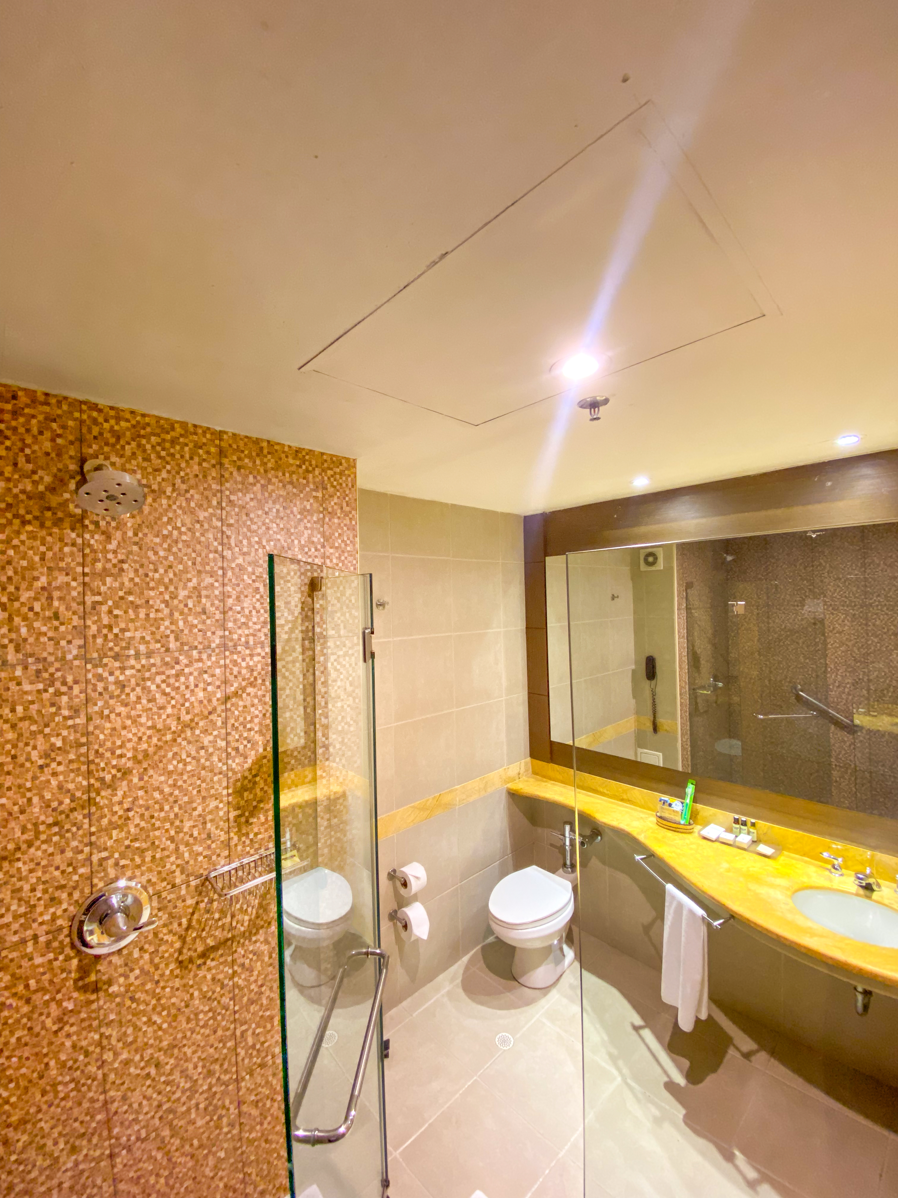 غرفة قياسية بسريرين، Dann Carlton Barranquilla 3/3