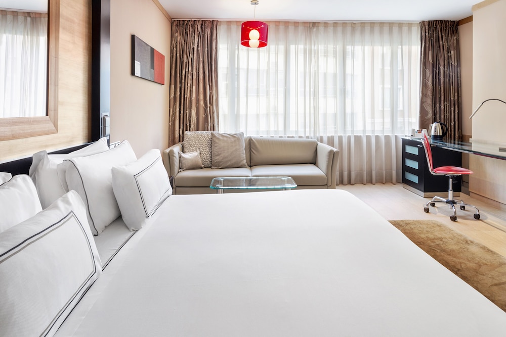 Melia Madrid Princesa Hotel 22/66