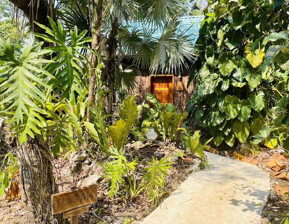 Mariposa Jungle Lodge 46/50