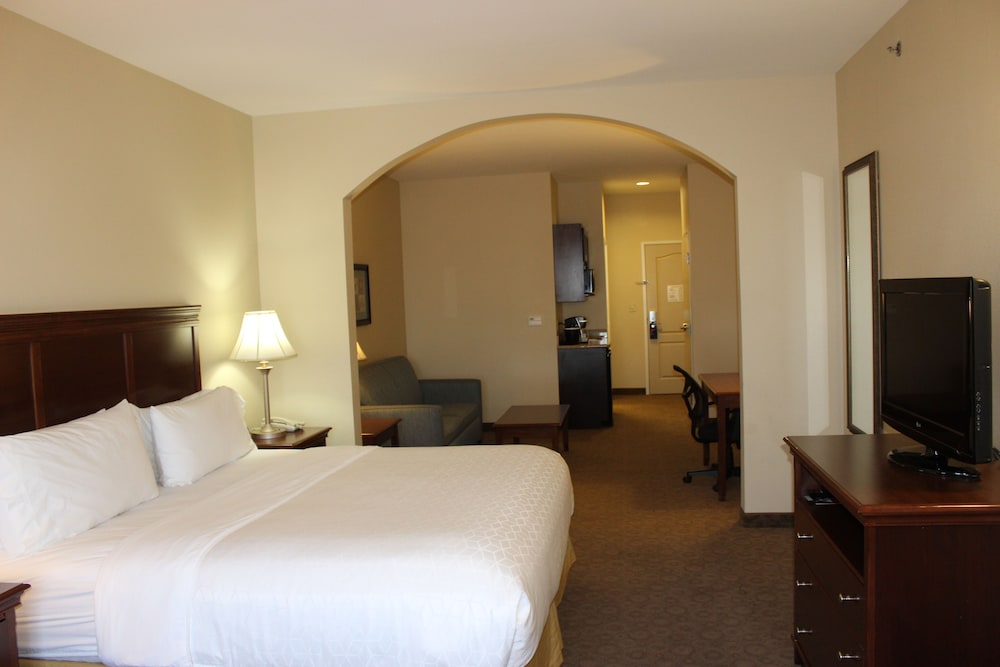 Holiday Inn Express Hotel And Suites Cedar Hill 13/69