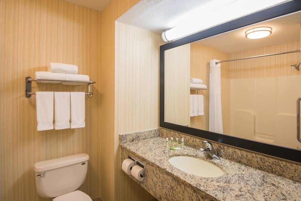 Holiday Inn Express Hotel Suites Wauseon 13/43