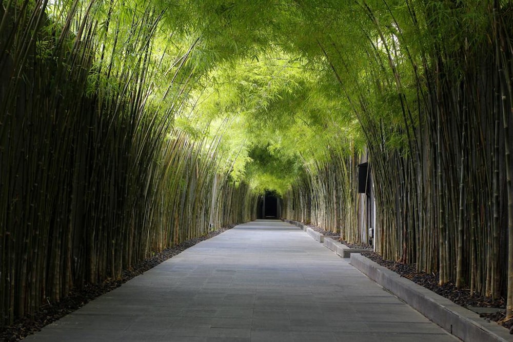 The Jineng Villas By Karaniya Experience 35/39