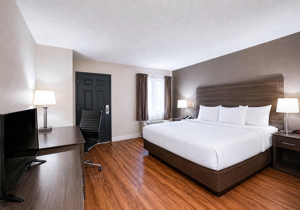 Upgrade, Suite, King Bed, Sofa