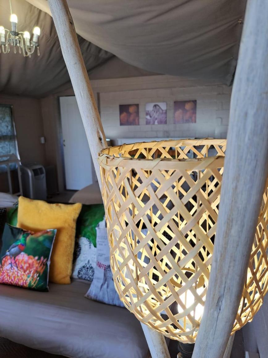 Thali Thali Game Lodge 2/50