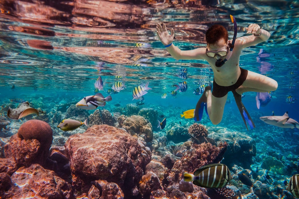 Dusit Thani Maldives 59/66