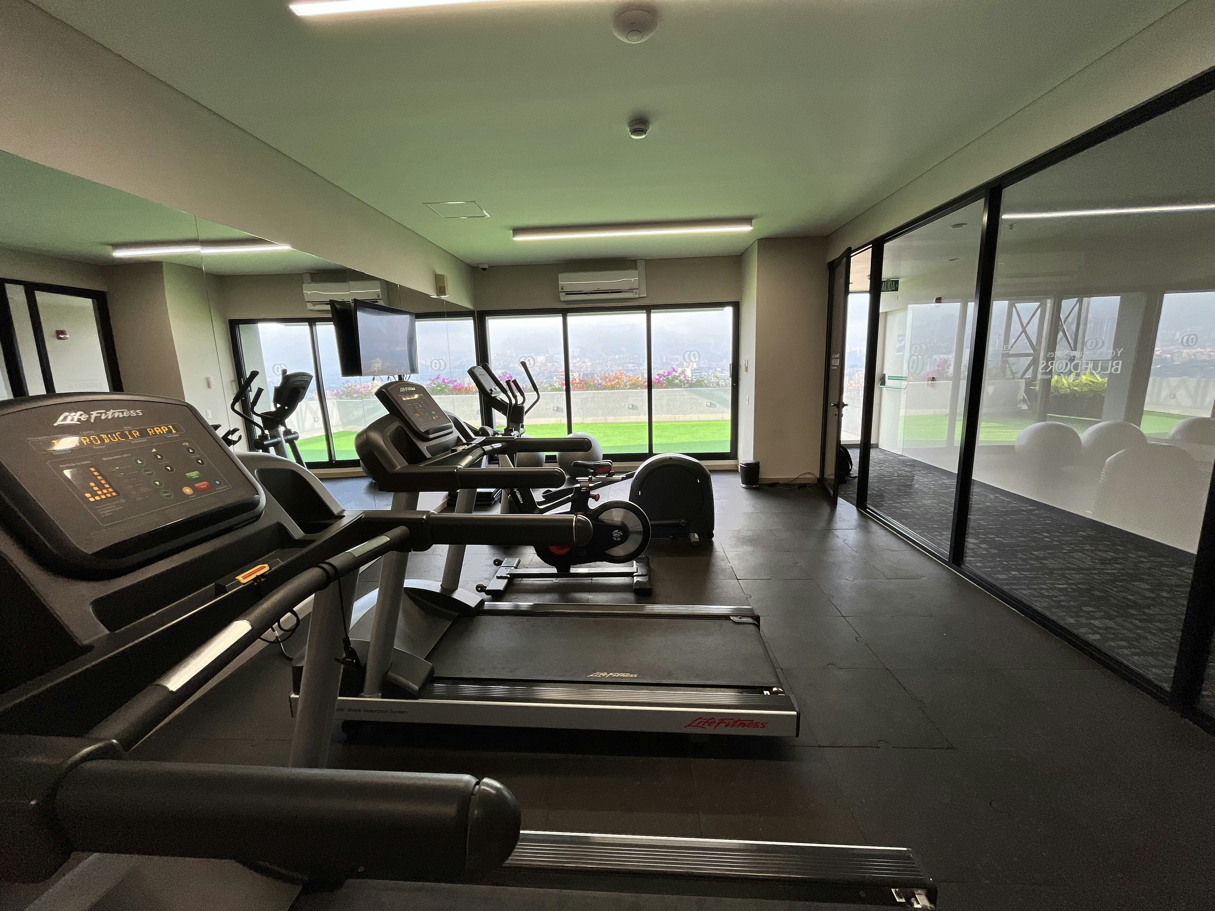 York Medellin, Curio Collection by Hilton 26/60