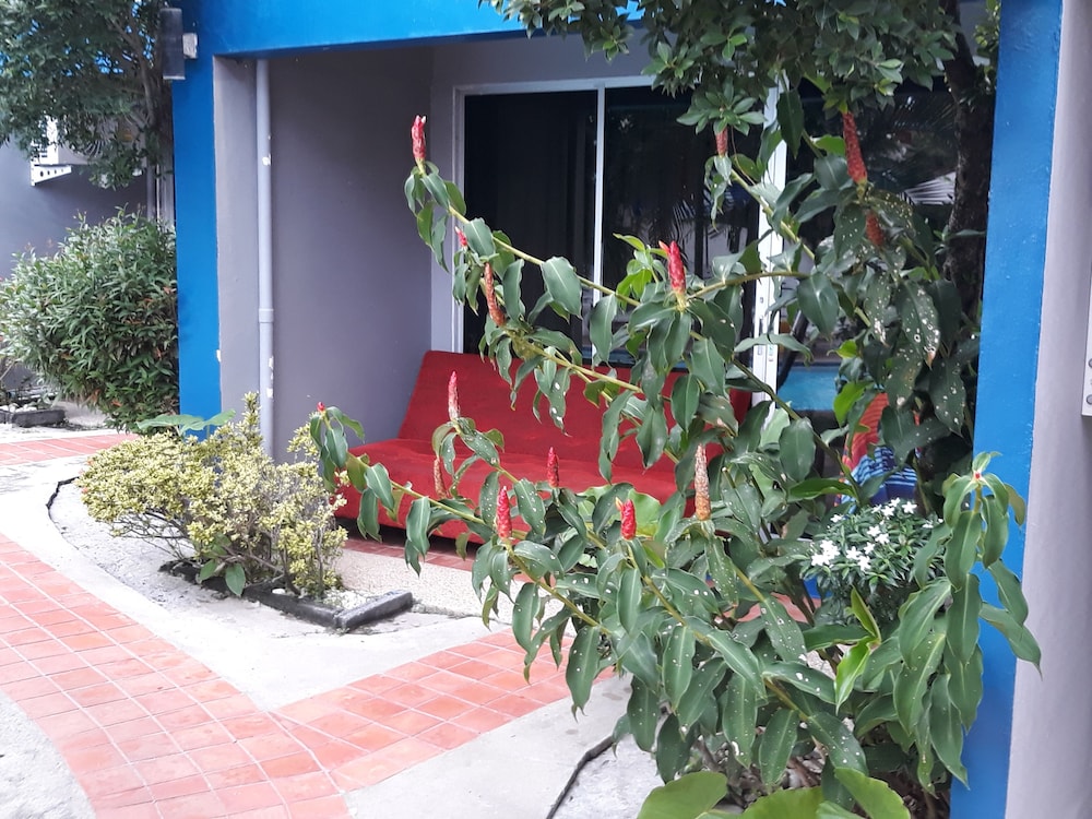 Porter House Patong 12/74