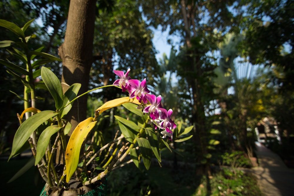Sonalong Boutique Village & Resort 59/70