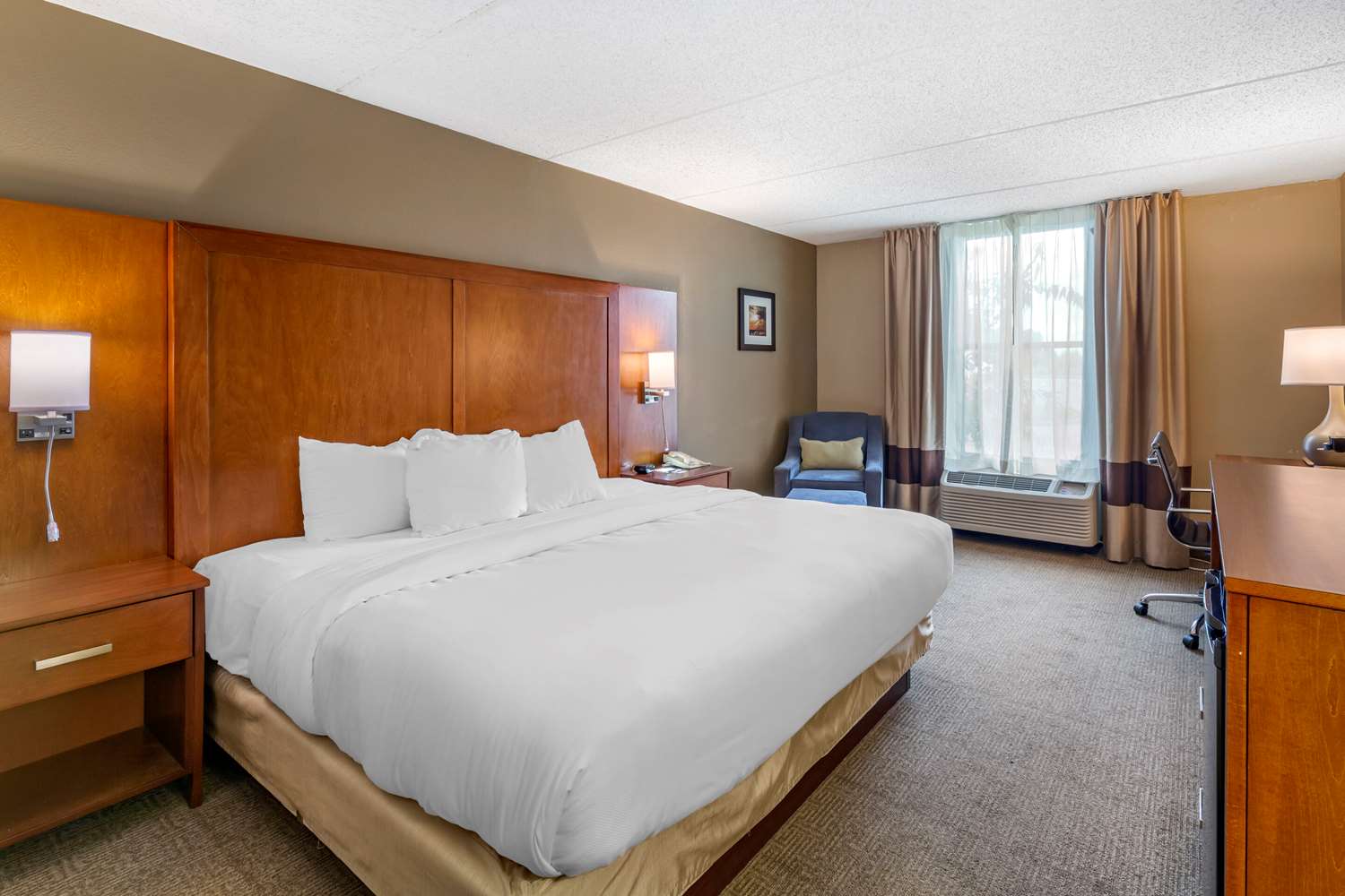 Room, King Bed, Accessible