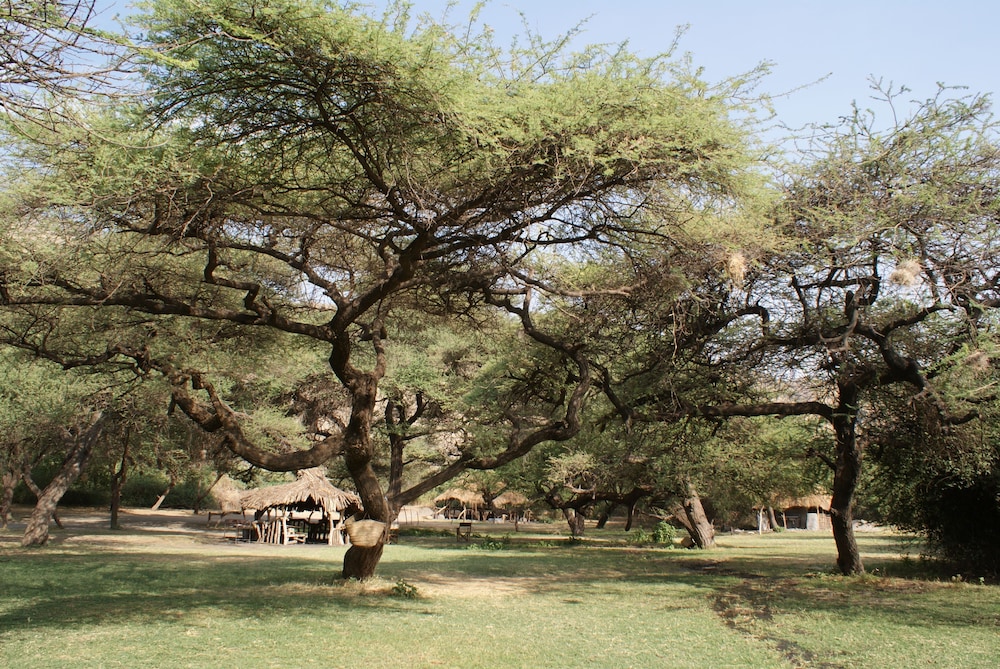 LAKE NATRON TENTED CAMP 7/17