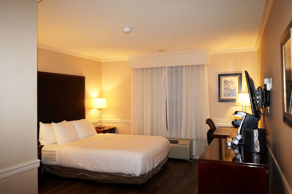 Efficiency, King Bed