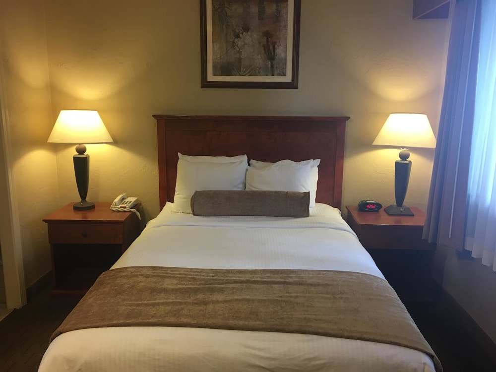 Best Western Vista Inn At The Airport 18/47