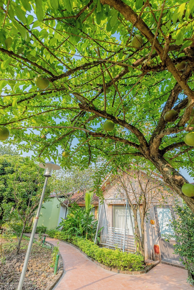 Tam Coc Green Garden Bungalow 21/37
