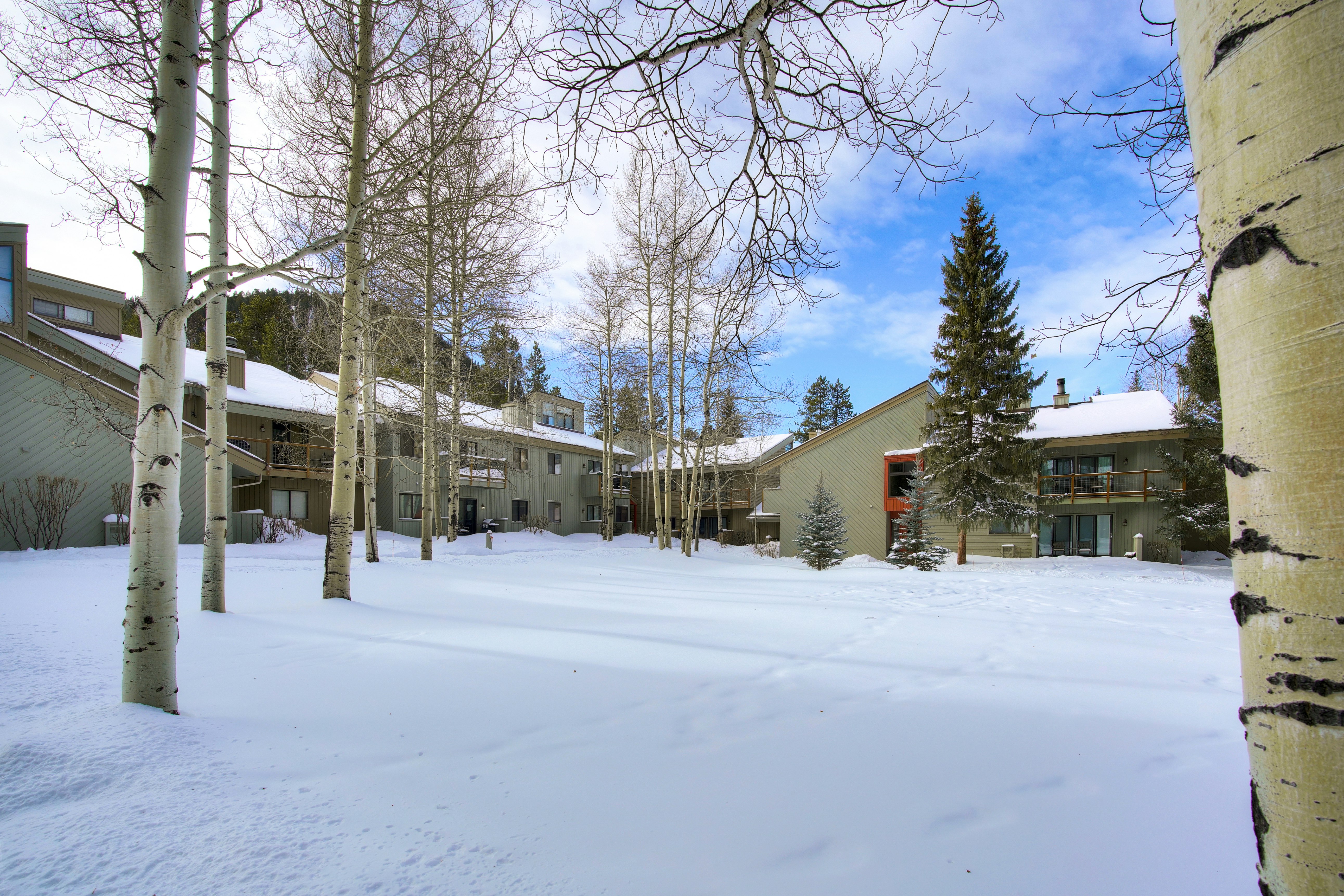 Forest Condominiums 4/69