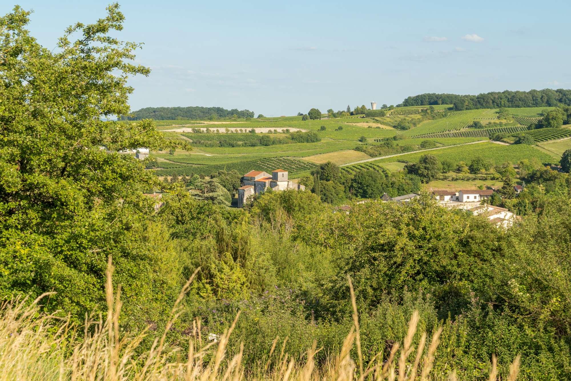 Relais De Saint Preuil 41/50