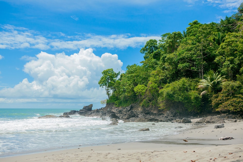 Arenas del Mar Beachfront & Rainforest Resort 68/75