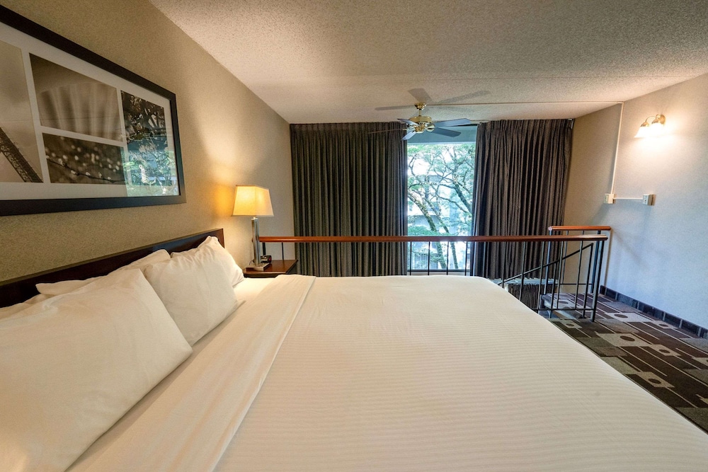 Hotel 116 Coast Bellevue Hotel 15/67