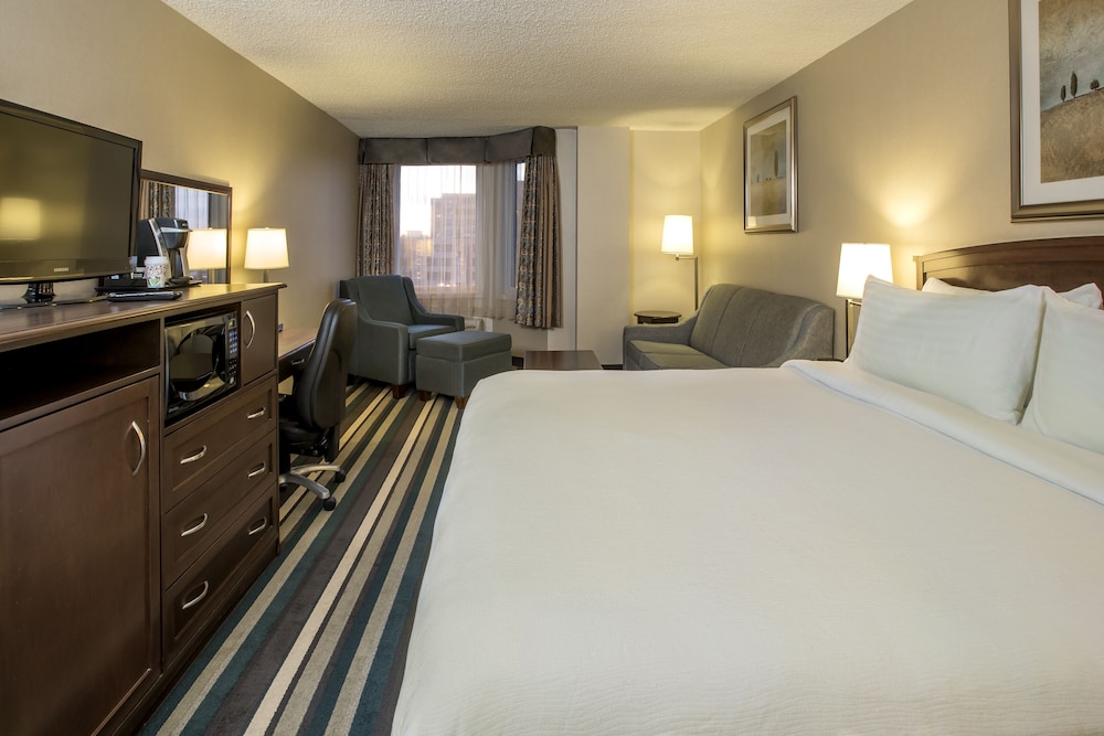 Holiday Inn Conference Ctr Edmonton South 22/72