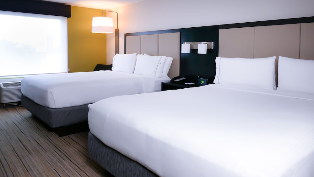 Holiday Inn Express and Suites St. Petersburg North (I-275), an IHG Hotel 13/58