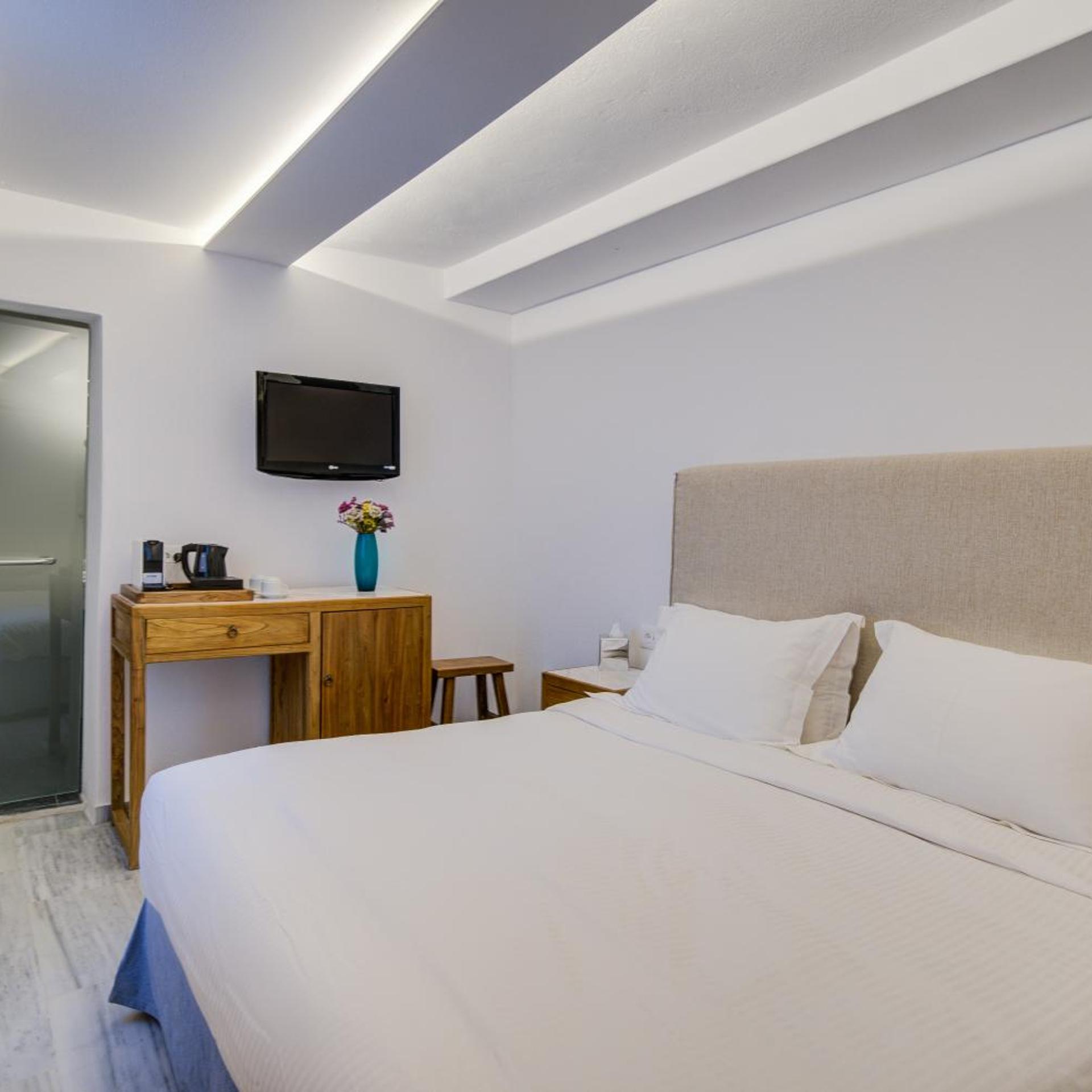 ECONOMY, DOUBLE OR TWIN BED