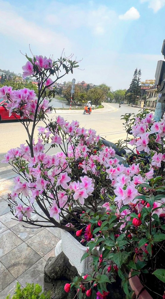 Sapa Lake View Hotel 55/60