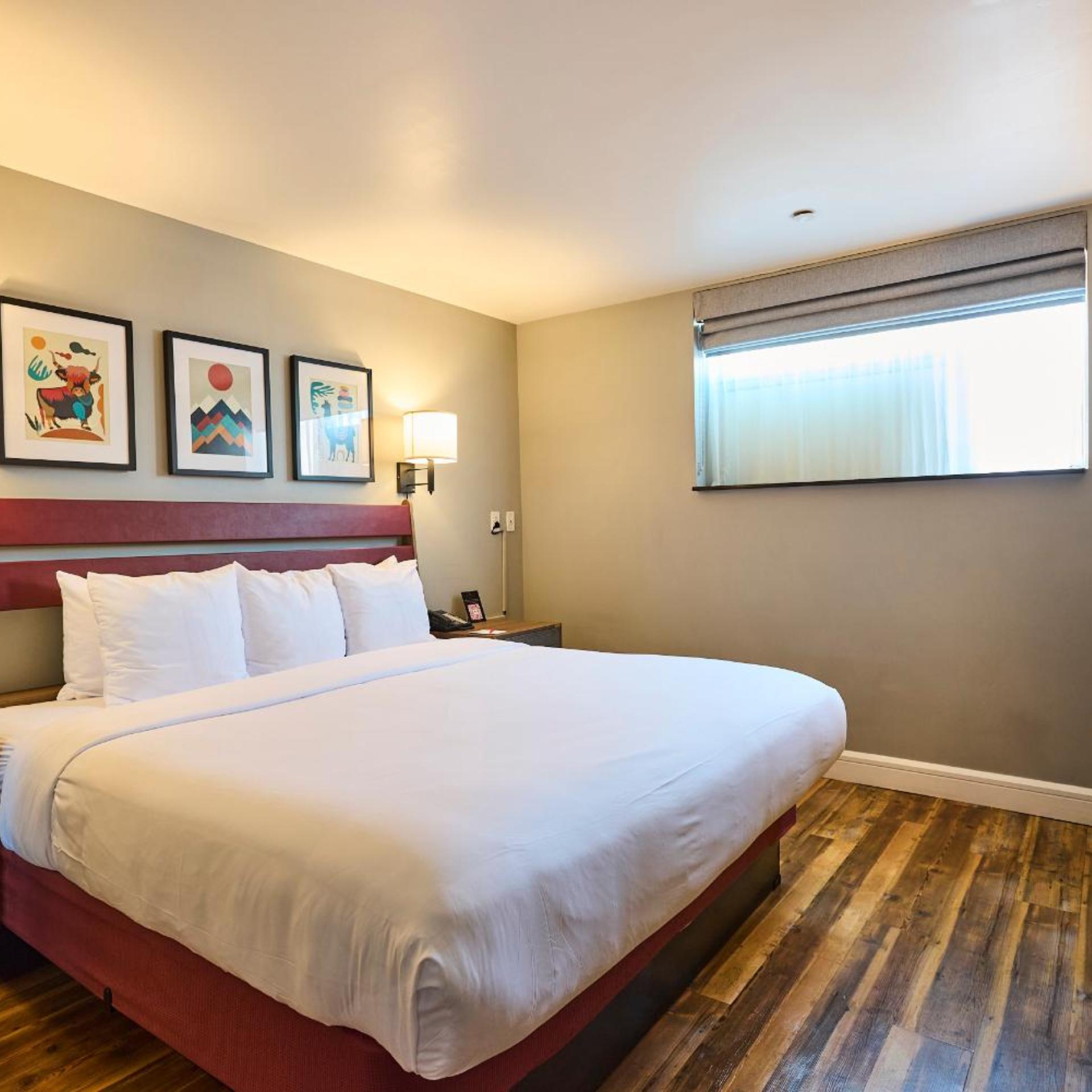Room, King Bed, Accessible